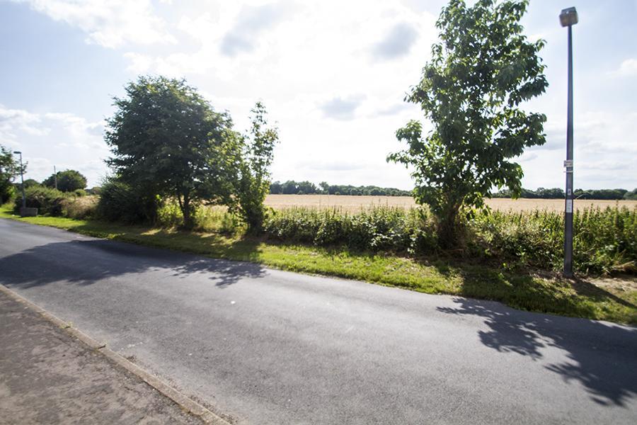 The Bay Horse Accommodation West Cowick Exteriör bild